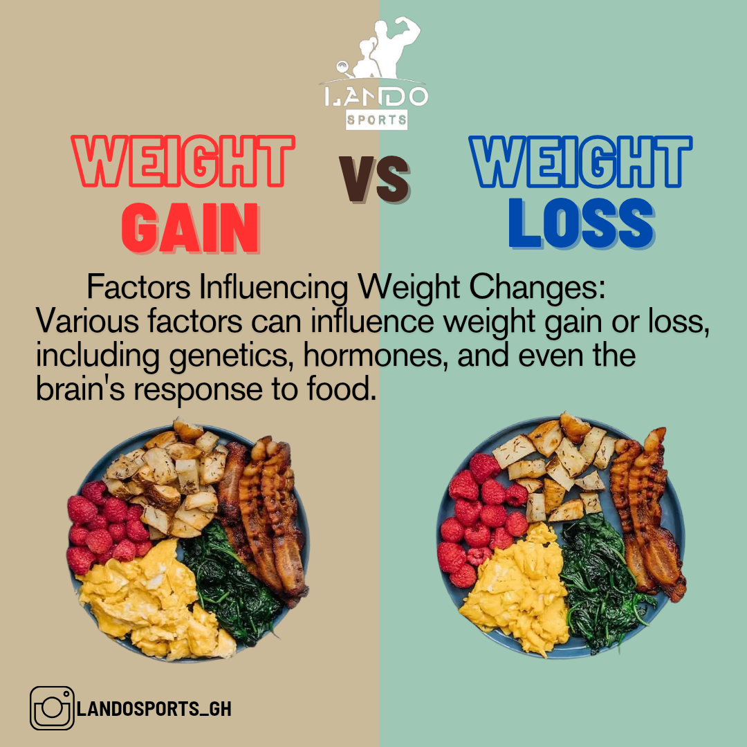 [5_23, 11_29] Lando ❤️ 🌻_ For example weight gain VS weight loss [5_23, 11_20250603_155950_0004