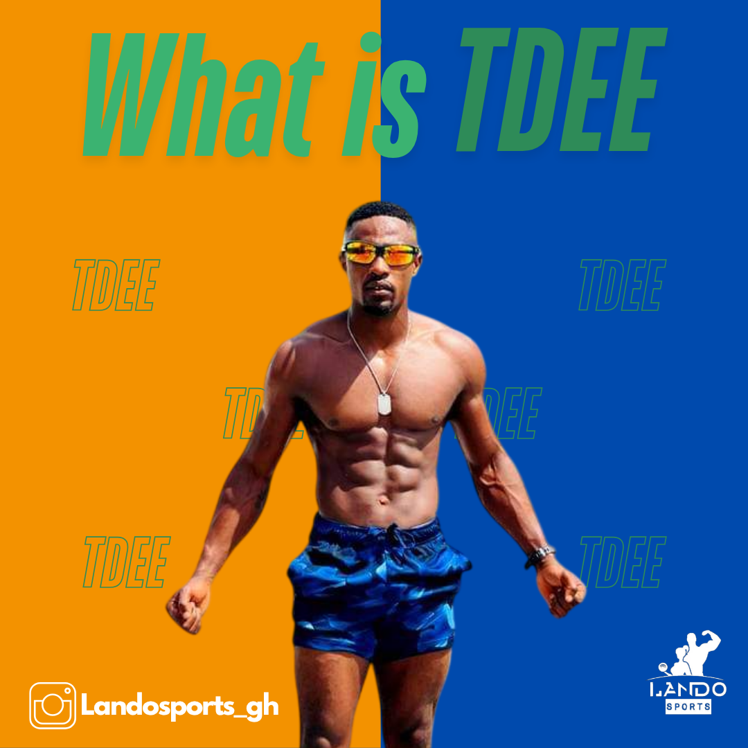What is TDEE_20250603_155912_0000