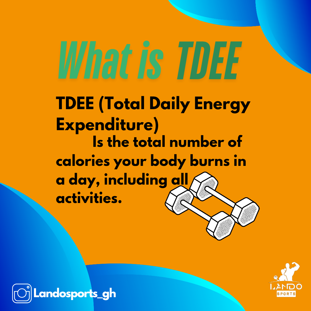 What is TDEE_20250603_155912_0001