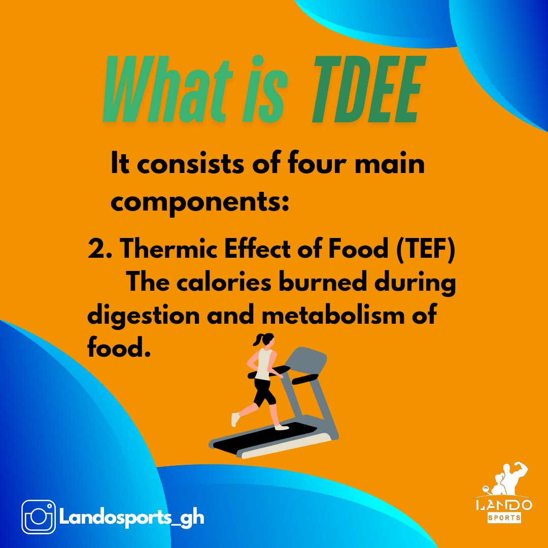 What is TDEE_20250603_155912_0003