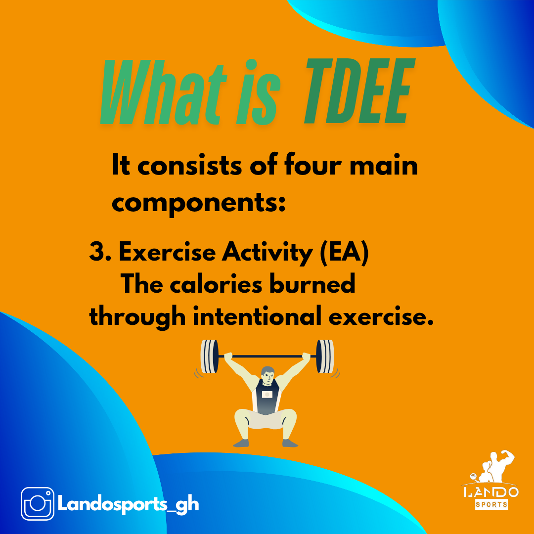 What is TDEE_20250603_155913_0004