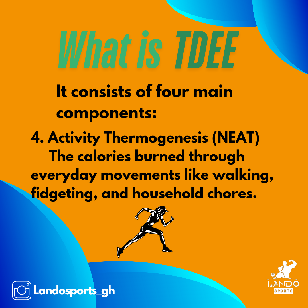 What is TDEE_20250603_155913_0005