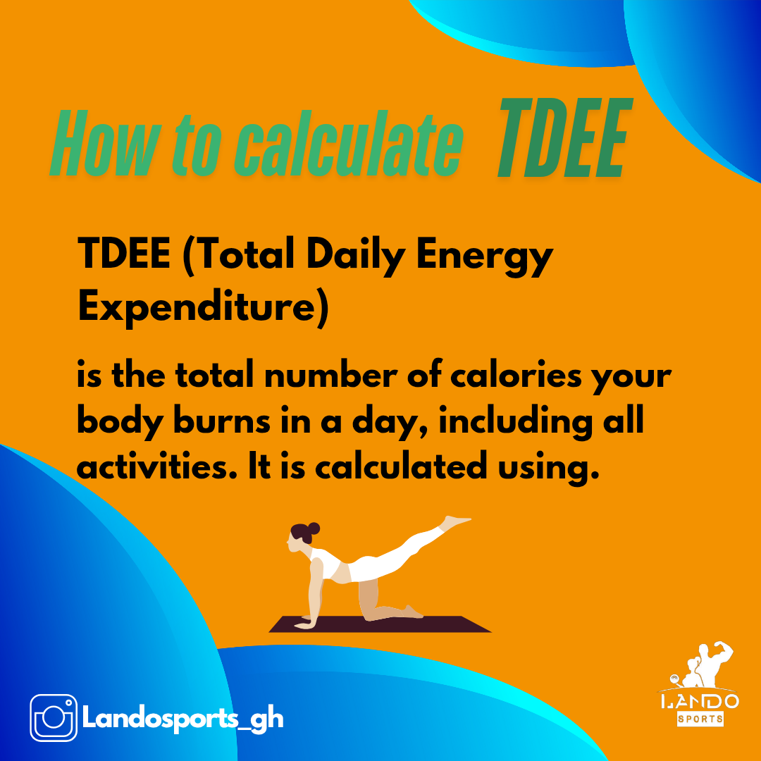 What is TDEE_20250603_155913_0007